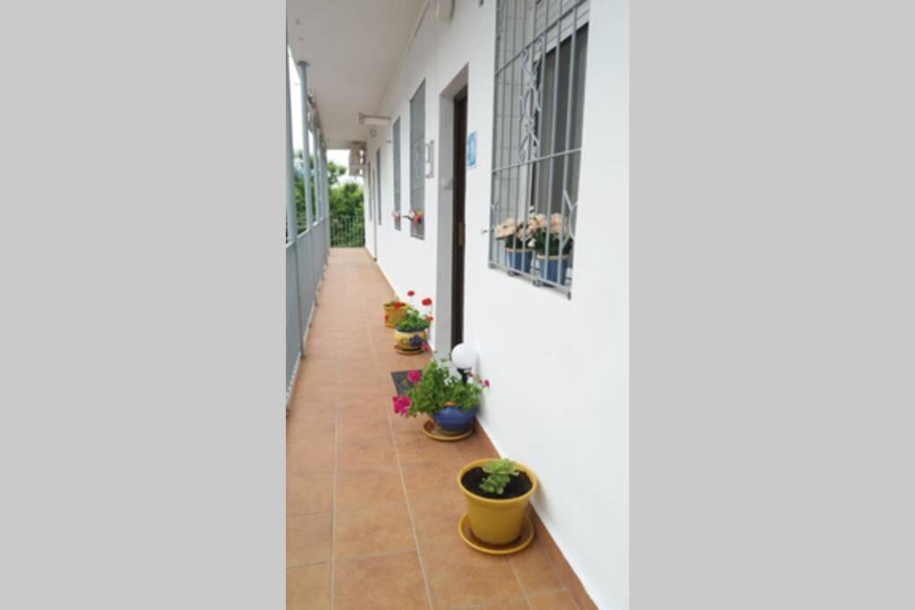 Apartamento Al-Zhara, Junto Puente Romano Apartment Кордоба Екстериор снимка